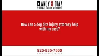 How Can a Dog Bite Injury Attorney Help With My Case?