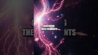 Tracing the Origins of the Cosmic Web: Filament Connections