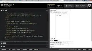 Additional Form Elements in HTML CSS