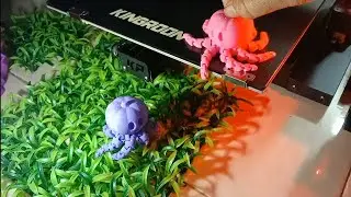 Cute Mini Pumpkin Octopus - 3D Articulated - Print In Place - by 3D Printer Kingroon KP5L.