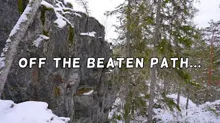Relaxing walk through Swedish wilderness - 4K ASMR 🐕🚶🏻