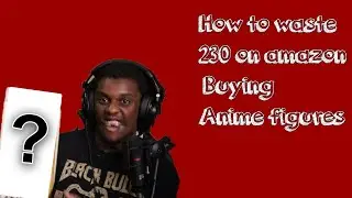 How to waste 230 on amazon buying anime figures