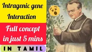 Intragenic Gene Interactions🧬| Incomplete Dominance| Co Dominance| Lethal Gene| Pleiotropy| Tamil