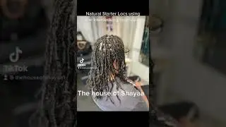 Natural starter Locs | Interlocking technique| 3b hair type | super soft hair | The House of Shayaa