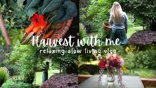 Slow Living Garden Harvest | Spend the afternoon with me | silent vlog