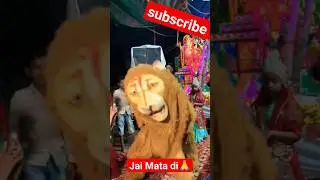 Jungal ke raja jaldi aaja🙏🚩#shorts #jaimatadi #jagran#viralvideo#shortsfeed#trendingshorts#jagran