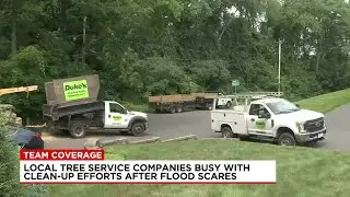 Tree service companies keep busy with clean-up efforts after intense storms
