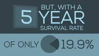Updated 2021 ECEF Video