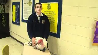 turkey.MP4