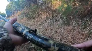 Deer Hunting With Dogs '' You Trying to KILL Somebody '' ?