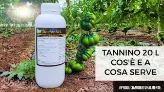 Tannino 20 L Corroborante Bio