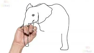 Let's Draw - Elephant - El Dibujo