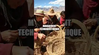 The Paiute People: Heritage and Survival in the Great Basin
