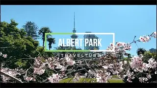 Beautiful Cherry Blossoms in ALBERT PART, Auckland CBD, New Zealand