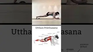 How to Do Lizard Pose | Deep Hip Opener for Flexibility & Core Strength