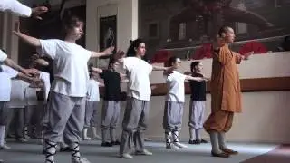 Shi YanTi - ShaoLin  XiSuiJing- ZhengShenShi  少林洗髓经《正身式》