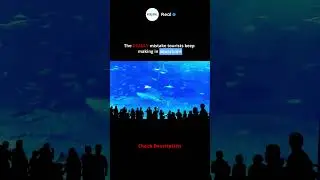 Don't do this in aquariums #shorts #didyouknow #instagram #reels #facts  #science #memes #gym