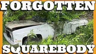 Abandoned Squarebody Stepside. Can It Be Revived After 24 years?
