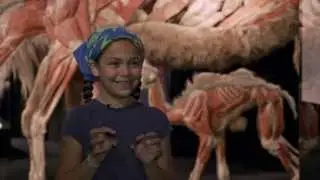 ANIMAL INSIDE OUT Exhibit Trailer