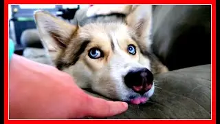 YOUR TONGUE IS STICKING OUT