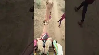 Girte Girte Bachi😱 | Unt Ki Sawari or My Most Scary Ride