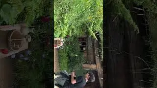 Hobbiton movie set Matamata 