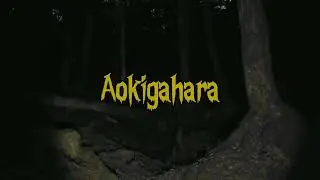 KARIU$ - Aokigahara (Lyrics)