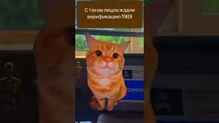 #верификация #рекомендации #рек #просмотры
