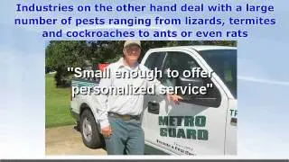 Pest Control in Dallas Texas