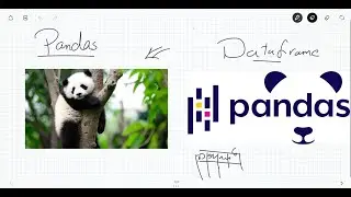 2  - Python - Pandas - Data wrangling  - drop , rename , change data type