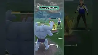 all Fighting type 👊! Sirfetch'd🍀counter attack! Lucario⚓Vs Houndoom🔥! Gbl ! pokemon Go