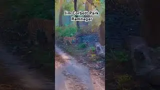 Jim Corbett Park Ramnagar (Uttarakhand) #nature #flutemusic #flowers #travel #wildlife #naturelovers