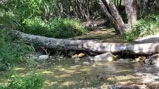Sounds of Nature/Lytle Creek Calif/Grandma Sandy