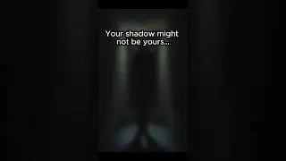 Shadows That Move Wrong #shorts  #weirdfacts #fascinatinginformation #scary #scaryfacts #science