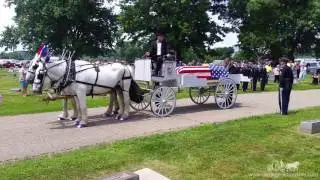 A fitting farewell for any American Hero - Caisson Hearse 3