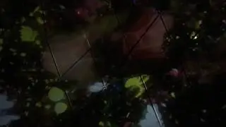 DMM.planets by teamlab
