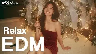 【EDM Relax #30】 Epic Techno Melodic EDM Festival Vibes | Party / Focus / Study / Work Relax Playlist