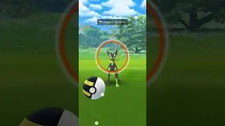 World First Zaygrade Catching In pokemon Go With New Research #pokemon #zaygrade