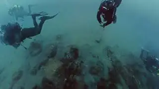 Azoren St Miguel Amora 29.07.25 Dive 1 full dive