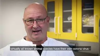 Many new viruses are zoonoses, which comes to us from animals