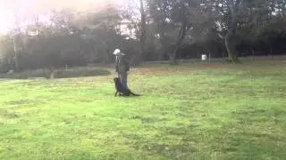 Peniglen Training