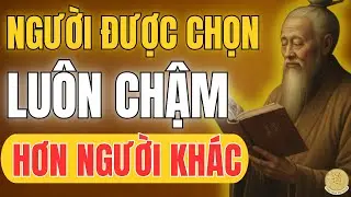 CỔ NHÂN TIẾT LỘ: Người Được Trời Chọn Luôn Đi Chậm – Thành Công Đến Muộn Nhưng Rất Phi Thường