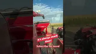 Snack time in the tractor! #farming #farm #country #agriculture #farmer #tractor #youtube #fyp #kids