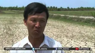 Drought delays rice farming as Mekong water levels drop