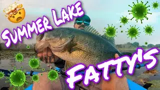 TOP-SECRET LAKE - SUMMER LAKE FATTY&rsquo;s