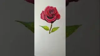 how to colour red rose with oilpastel #drawing #drawingtutorial #rosedrawing #flowerdrawing #art #yt