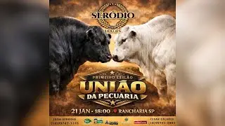 1º LEILÃO UNIAO DA PECUÁRIA | QUARTA 21/01/26 - 18H - REBANHO 100% Pesado