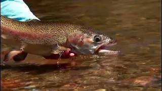 ORVIS - How To Fish A Gravel Bar