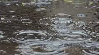 Soothing Rain & Water Drops | Steady Raindrop & Puddle Ambience | 10 Hour Natural White Noise