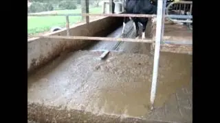 limpador de free stall FAZENDA CENCI
